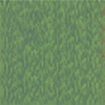 Grass 1